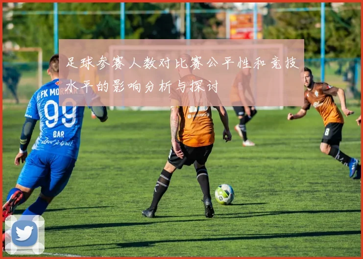 足球参赛人数对比赛公平性和竞技水平的影响分析与探讨