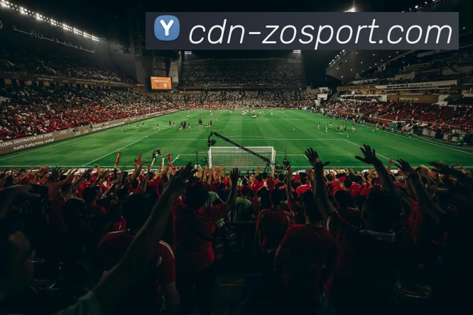 中欧体育官方网站品牌故事